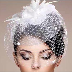 Hat Feathers Veil
